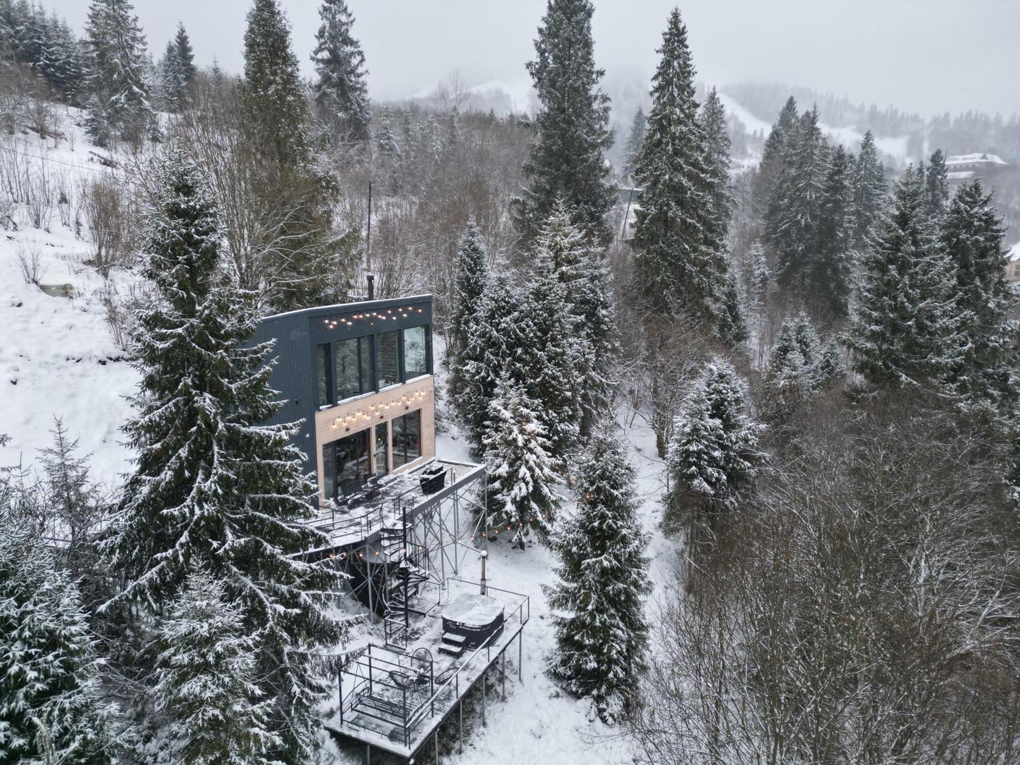 Forest Hub Villa Slavske Eksteriør billede